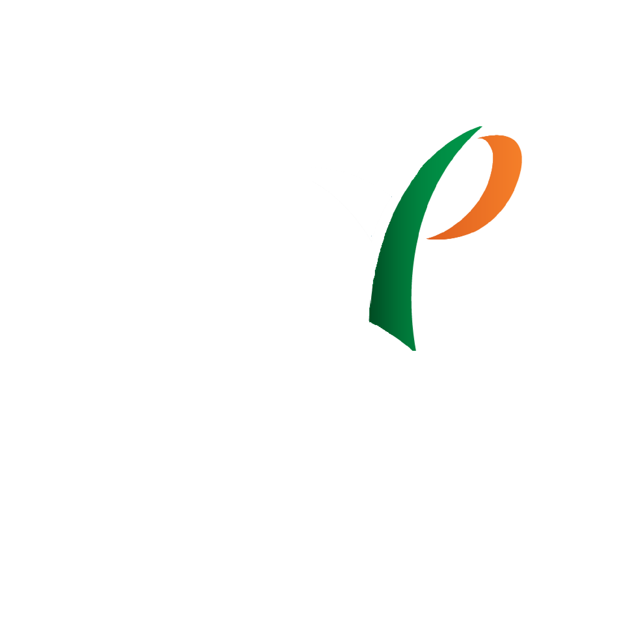 IEEE Young Professionals Tunisia